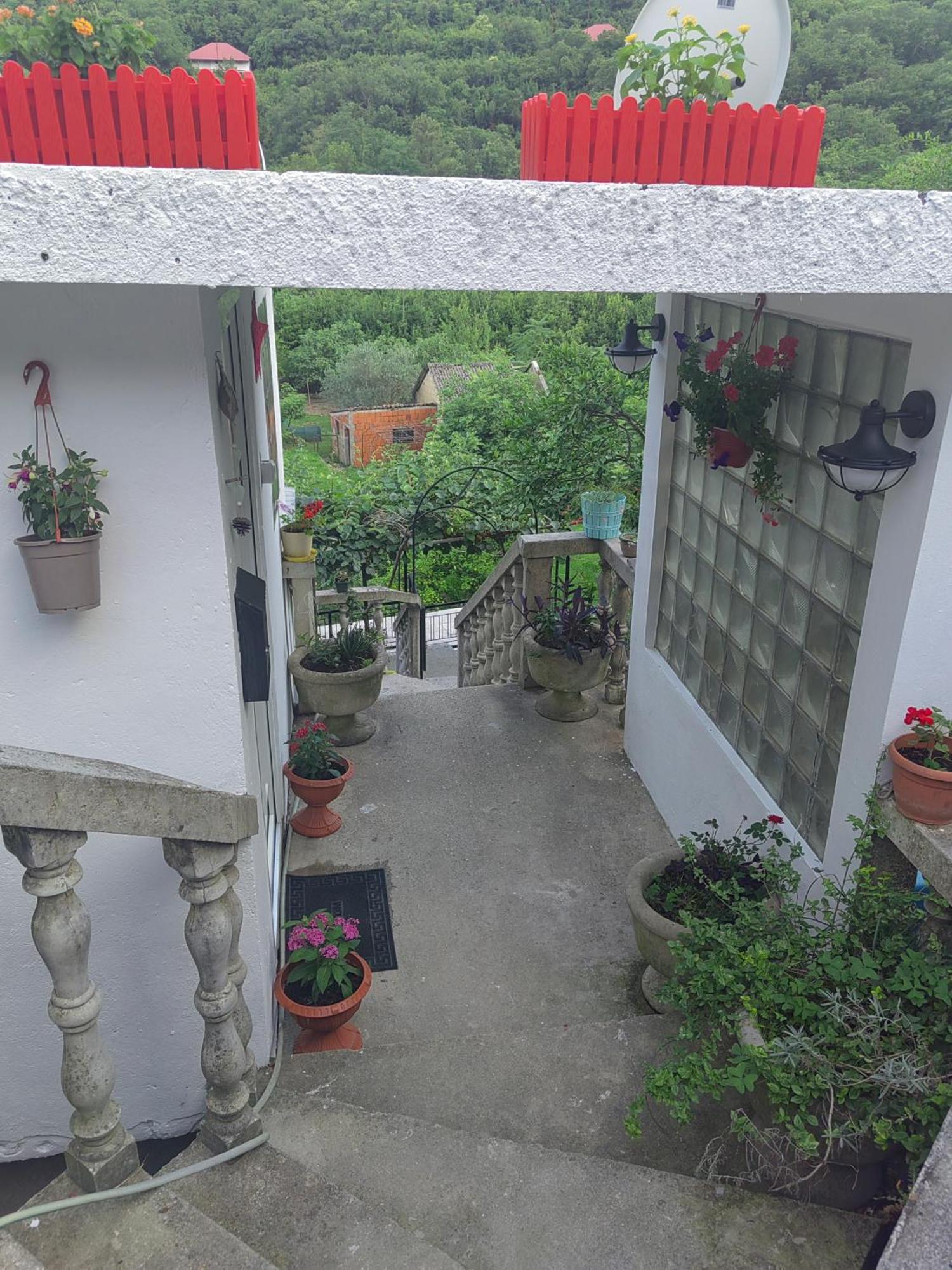Old House Morinj Apartment Exterior photo